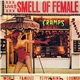 The Cramps - Smell Of Female